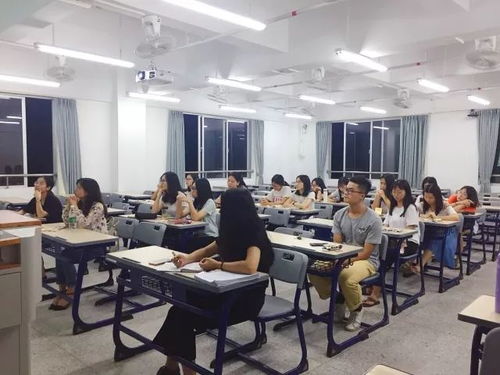 行天下，揽芳华——惠州学院第二十届科技文化艺术节旅游路线设计大赛决赛启幕